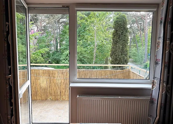 Apartament Jurata شقة